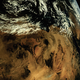 Illustration for article titled Here Are All the Best Photos from Indias Mars Mission